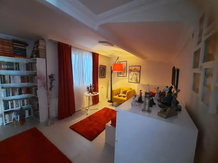 Appartement Deniz Manzarasi, Marti Sesleri Esliginde Istambul