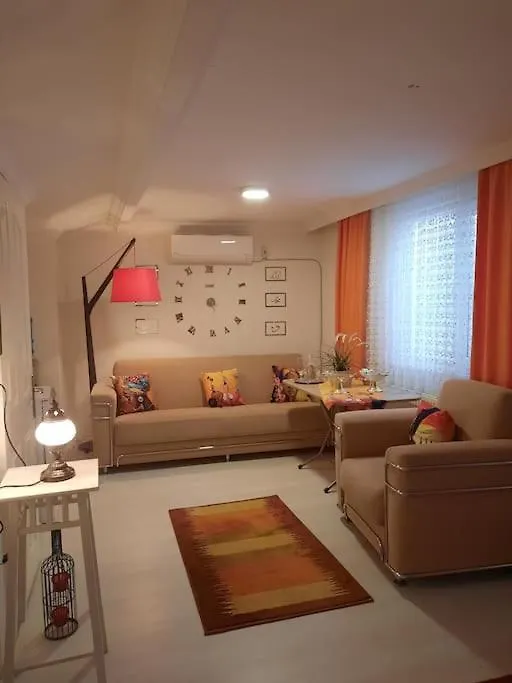 Appartement Deniz Manzarasi, Marti Sesleri Esliginde Istambul