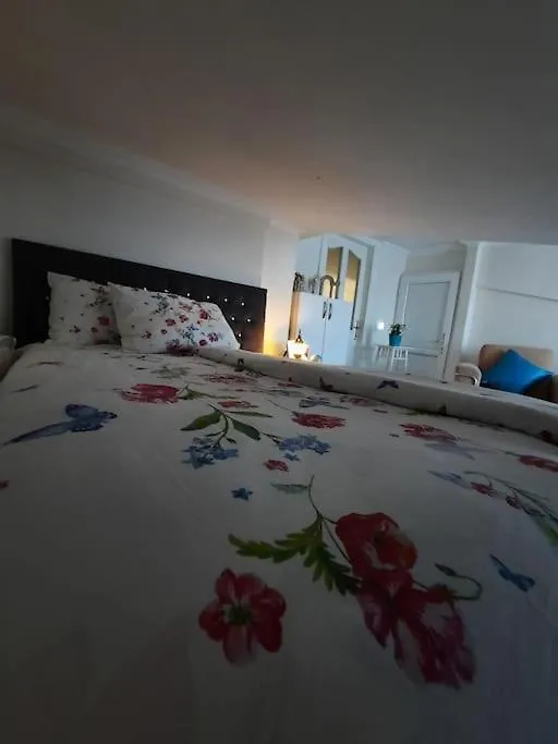 Appartement Deniz Manzarasi, Marti Sesleri Esliginde Istambul 0*,
