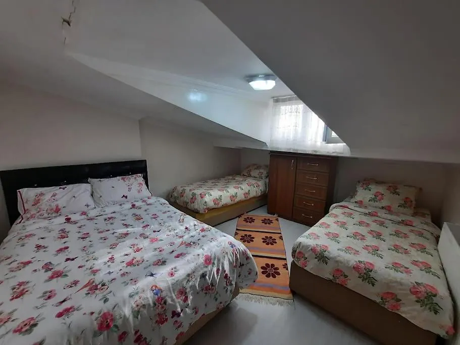 Appartement Deniz Manzarasi, Marti Sesleri Esliginde Istambul