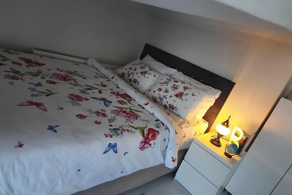 Appartement Deniz Manzarasi, Marti Sesleri Esliginde Istambul